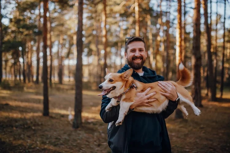 В последний день октября на просторах Загородного парка встретились 25 «коржей», точнее - песиков породы корги. Конечно же, случилось это не стихийно. Теперь во Владимире появилось корж-комьюнити, которое помогает хозяевам и питомцам весело проводить время.