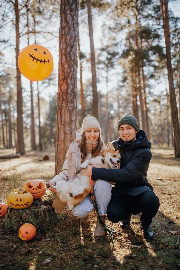 В последний день октября на просторах Загородного парка встретились 25 «коржей», точнее - песиков породы корги. Конечно же, случилось это не стихийно. Теперь во Владимире появилось корж-комьюнити, которое помогает хозяевам и питомцам весело проводить время.