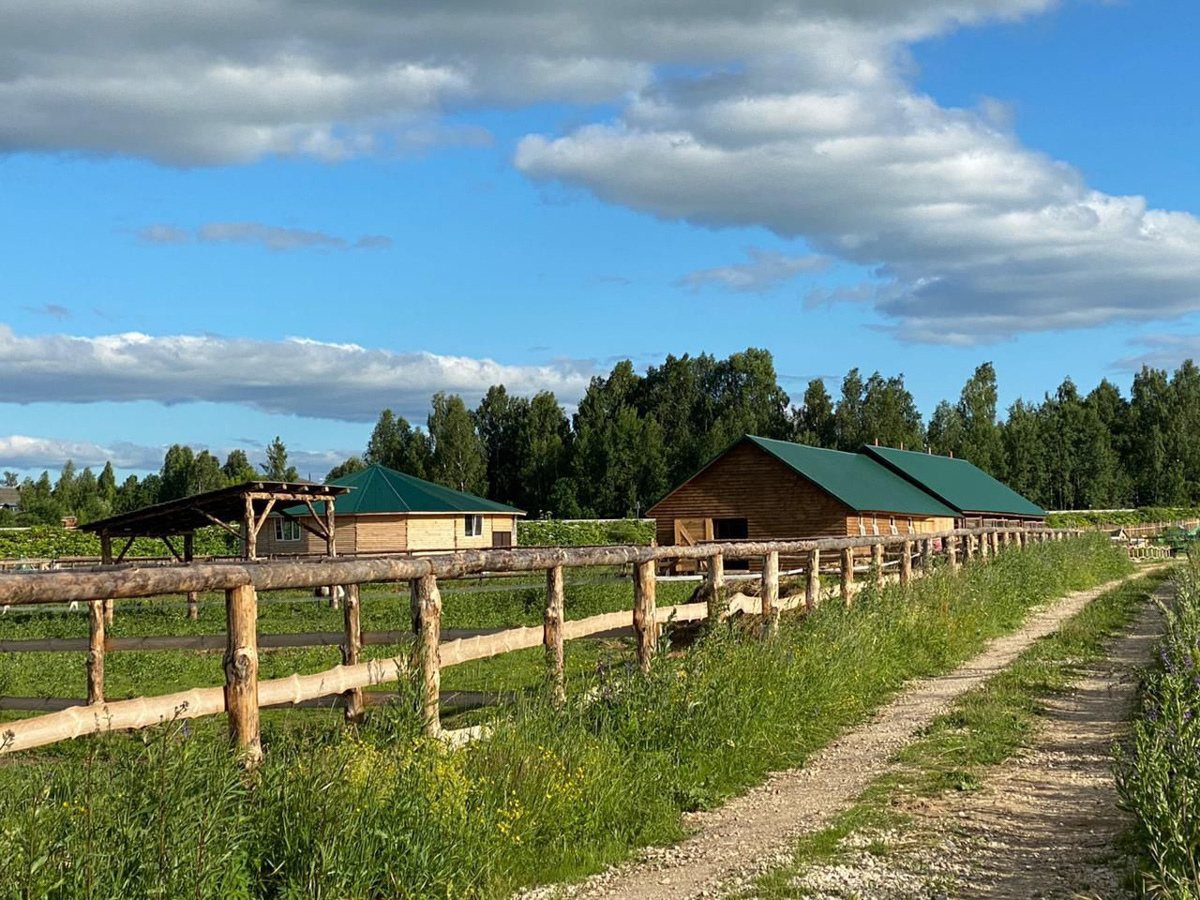 Жеребенок Ижмарин из Коми, ставший звездой YouTube благодаря редкой чубарой масти, переехал на постоянное место жительства в 33-й регион. Новые хозяева успели оценить характер особенного малыша.