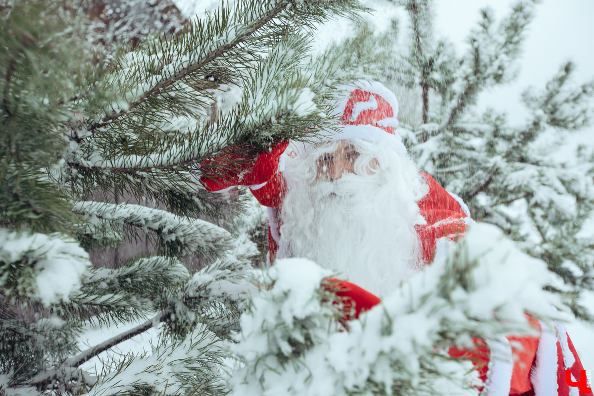 18 ноября – день рождения Деда Мороза, с завтрашнего дня на его вотчине в Великом Устюге начинает работать почта. А значит, пришло время писать письма. Чего же попросили бы жители Владимира у главного волшебника страны?