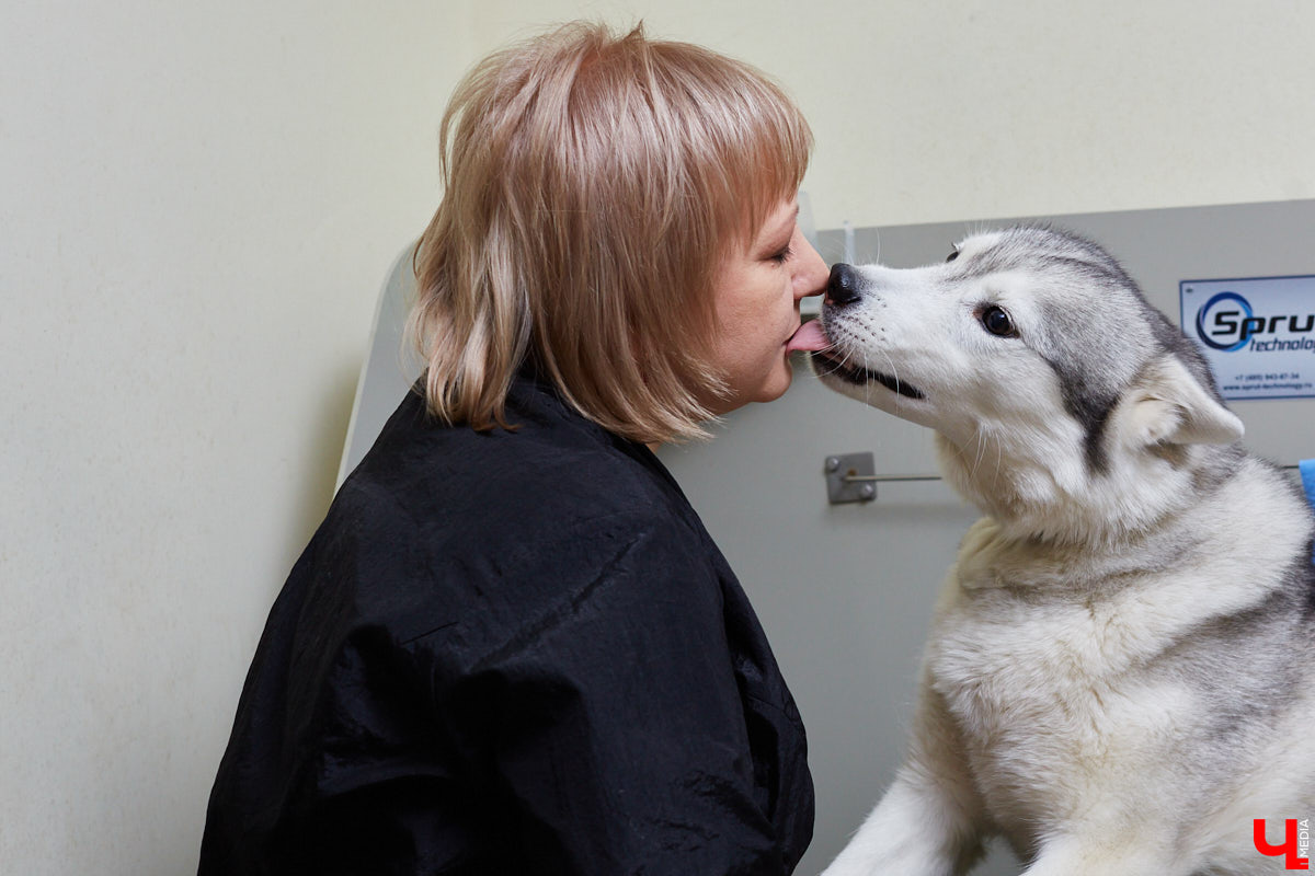 Собачья жизнь, если хозяин любит и заботится, не так уж дурна. Поговорили с грумером Татьяной Панюхиной о том, как правильно ухаживать за четвероногими друзьями.