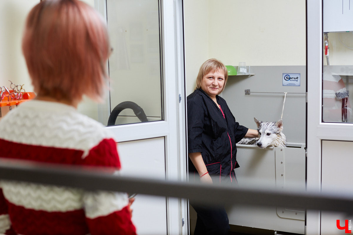 Собачья жизнь, если хозяин любит и заботится, не так уж дурна. Поговорили с грумером Татьяной Панюхиной о том, как правильно ухаживать за четвероногими друзьями.