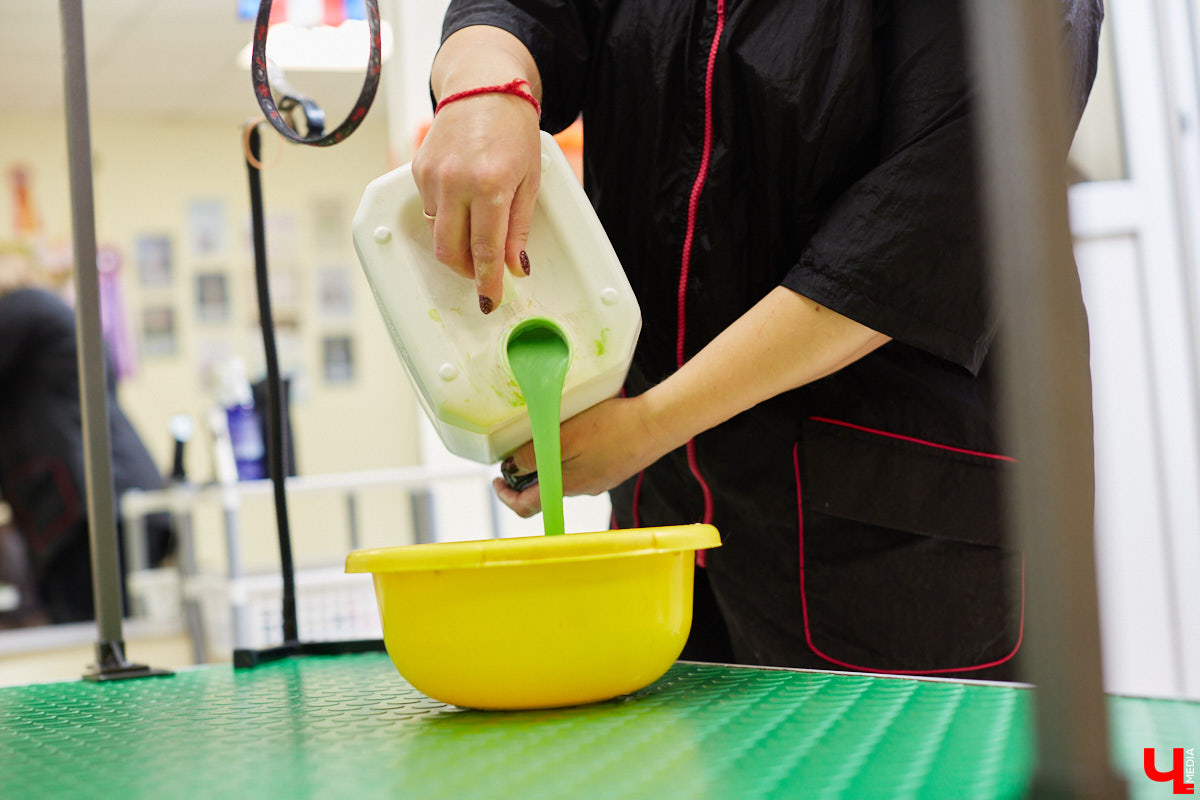 Собачья жизнь, если хозяин любит и заботится, не так уж дурна. Поговорили с грумером Татьяной Панюхиной о том, как правильно ухаживать за четвероногими друзьями.