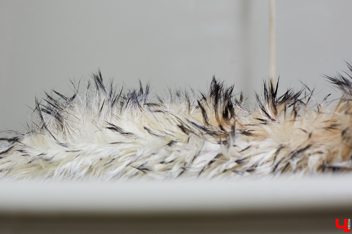 Собачья жизнь, если хозяин любит и заботится, не так уж дурна. Поговорили с грумером Татьяной Панюхиной о том, как правильно ухаживать за четвероногими друзьями.