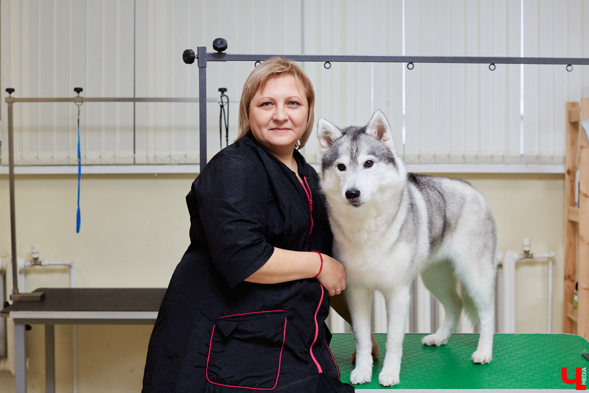 Собачья жизнь, если хозяин любит и заботится, не так уж дурна. Поговорили с грумером Татьяной Панюхиной о том, как правильно ухаживать за четвероногими друзьями.