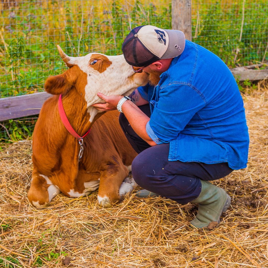В декабре прошлого года «Ключ-Медиа» делился с читателями историей колхозного мачо Дениса, бросившего столичную жизнь, переехавшего в Юрьев-Польский район и основавшего собственную ферму. О реалиях сельского быта блогер пишет в Instagram, подкрепляя слова снимками с милыми зверюшками. Оказывается, за год многое изменилось, и подробнее об этом расскажет сам Денис.