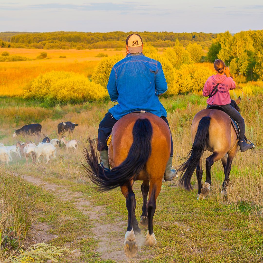 В декабре прошлого года «Ключ-Медиа» делился с читателями историей колхозного мачо Дениса, бросившего столичную жизнь, переехавшего в Юрьев-Польский район и основавшего собственную ферму. О реалиях сельского быта блогер пишет в Instagram, подкрепляя слова снимками с милыми зверюшками. Оказывается, за год многое изменилось, и подробнее об этом расскажет сам Денис.