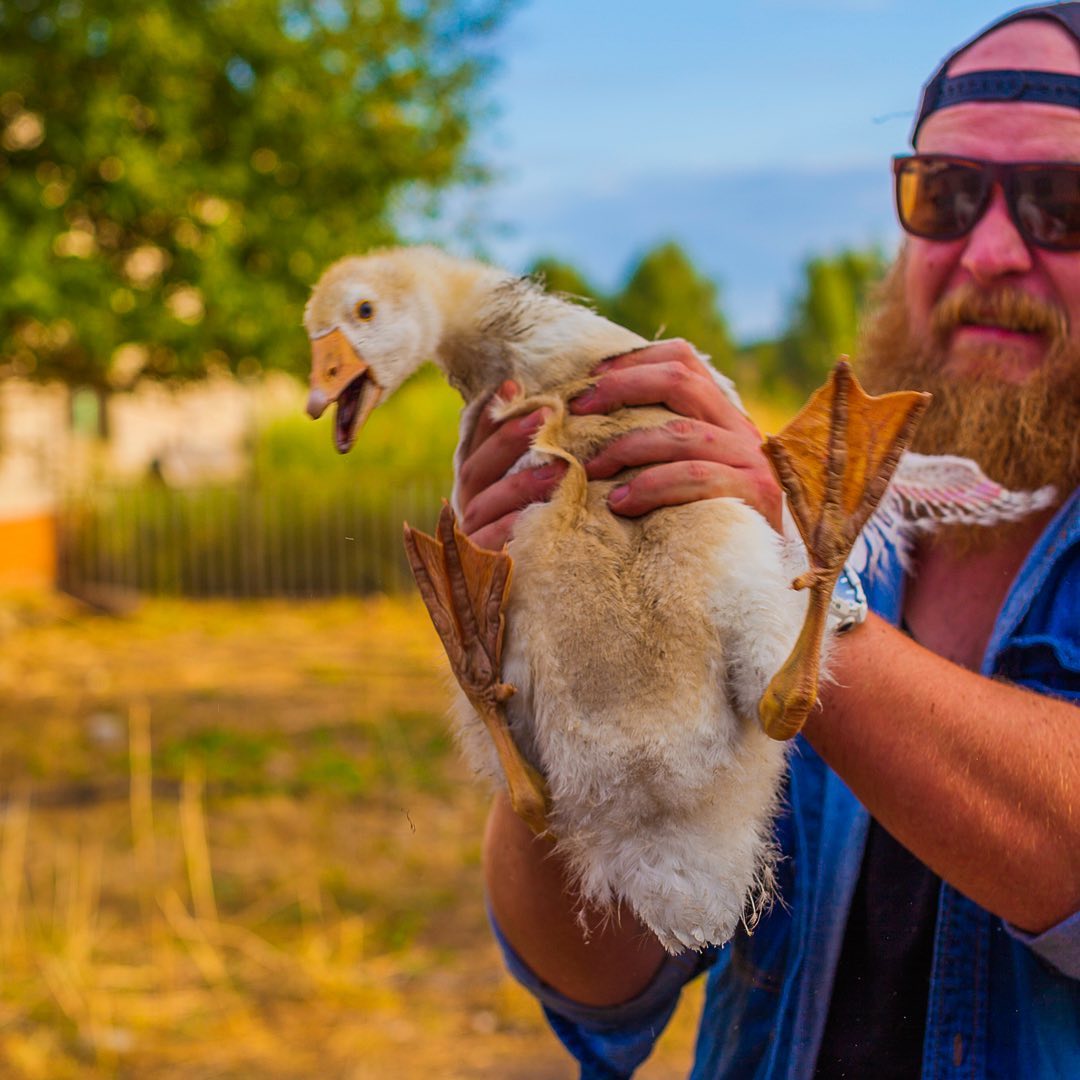 В декабре прошлого года «Ключ-Медиа» делился с читателями историей колхозного мачо Дениса, бросившего столичную жизнь, переехавшего в Юрьев-Польский район и основавшего собственную ферму. О реалиях сельского быта блогер пишет в Instagram, подкрепляя слова снимками с милыми зверюшками. Оказывается, за год многое изменилось, и подробнее об этом расскажет сам Денис.