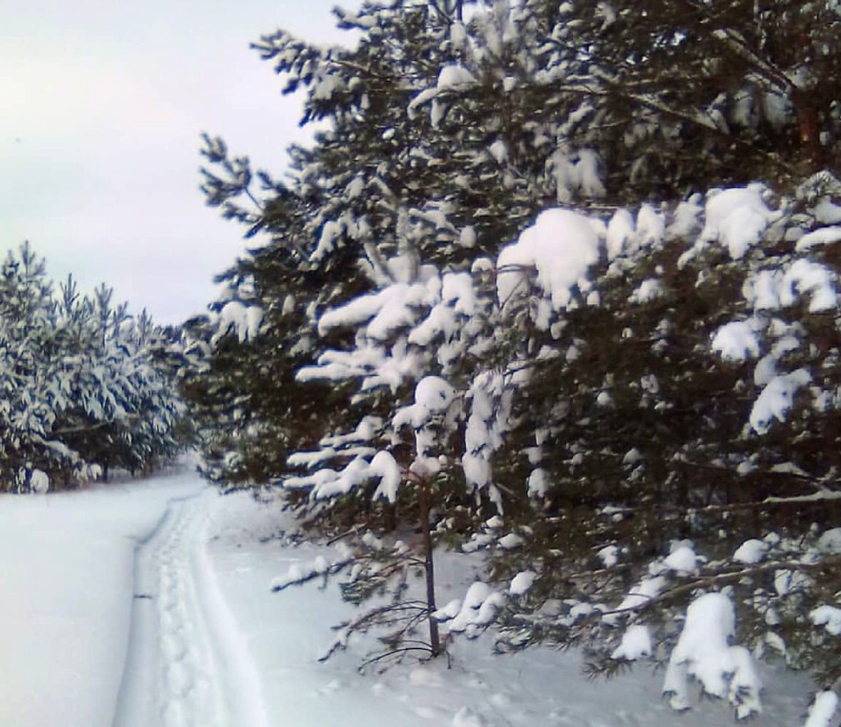 Птичку жалко и рыбку тоже. Но охота и рыбалка все еще остаются одними из самых популярных мужских увлечений. Хотя, не будем сексистами, не только мужских. Выведали у местных любителей хорошего улова и дичи некоторые тонкости их непростого хобби.