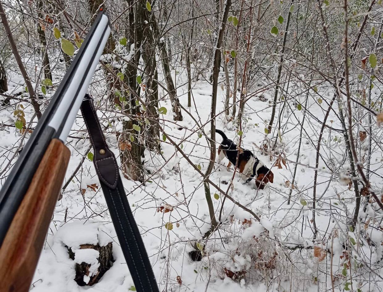 Птичку жалко и рыбку тоже. Но охота и рыбалка все еще остаются одними из самых популярных мужских увлечений. Хотя, не будем сексистами, не только мужских. Выведали у местных любителей хорошего улова и дичи некоторые тонкости их непростого хобби.