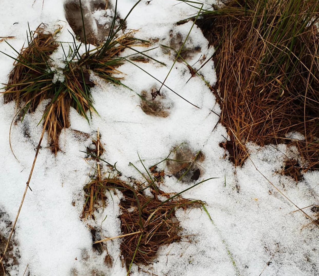 Птичку жалко и рыбку тоже. Но охота и рыбалка все еще остаются одними из самых популярных мужских увлечений. Хотя, не будем сексистами, не только мужских. Выведали у местных любителей хорошего улова и дичи некоторые тонкости их непростого хобби.