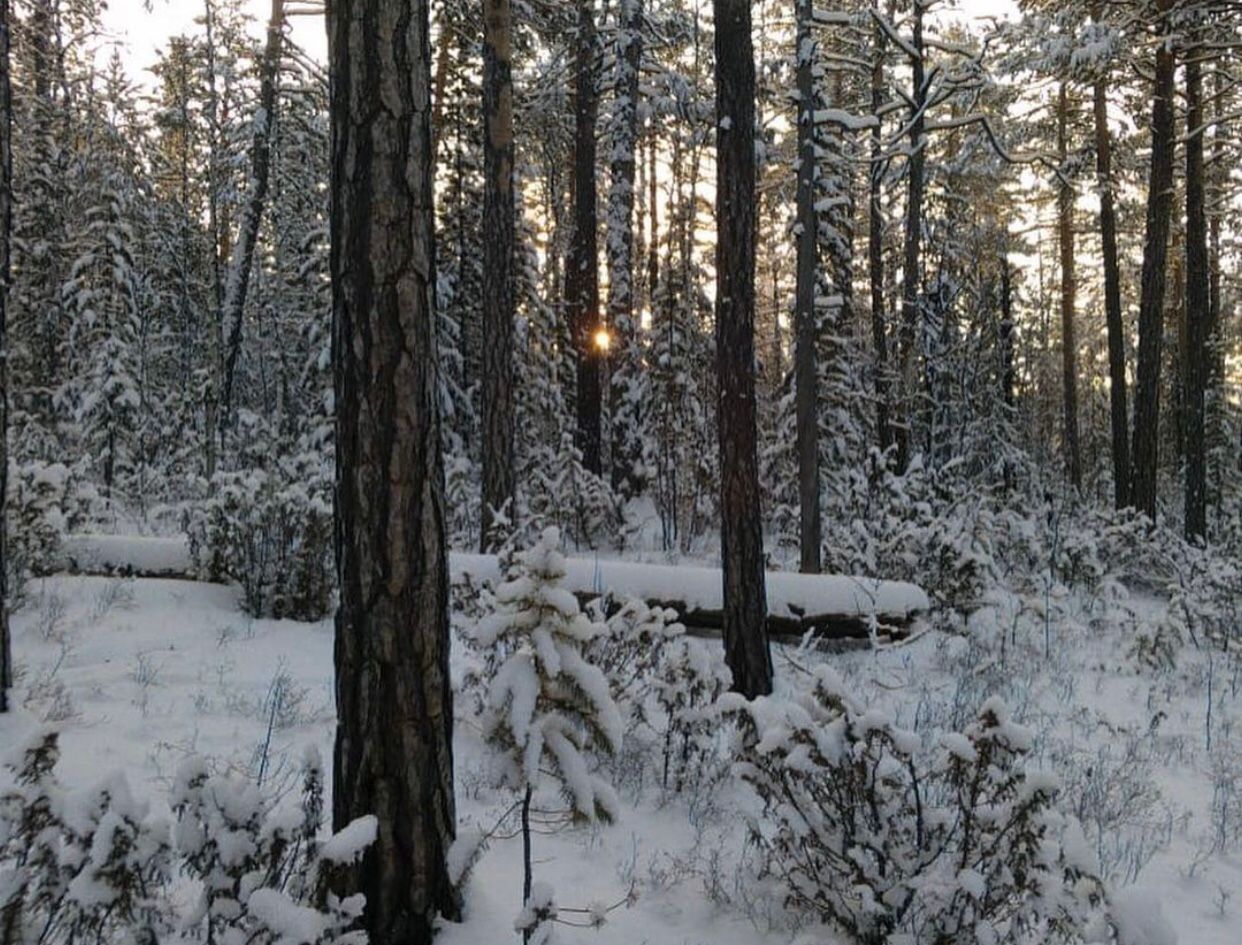 Птичку жалко и рыбку тоже. Но охота и рыбалка все еще остаются одними из самых популярных мужских увлечений. Хотя, не будем сексистами, не только мужских. Выведали у местных любителей хорошего улова и дичи некоторые тонкости их непростого хобби.