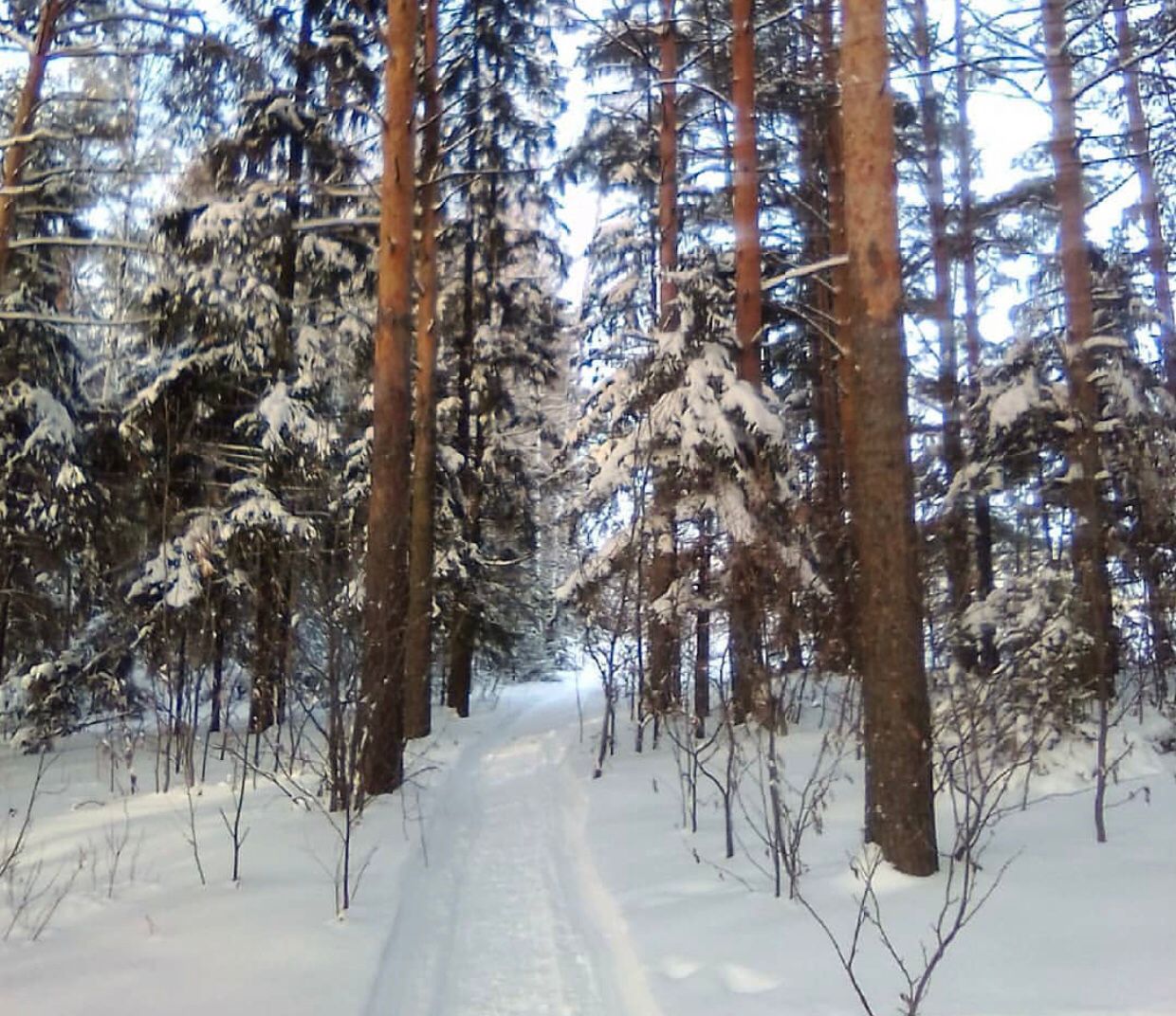 Птичку жалко и рыбку тоже. Но охота и рыбалка все еще остаются одними из самых популярных мужских увлечений. Хотя, не будем сексистами, не только мужских. Выведали у местных любителей хорошего улова и дичи некоторые тонкости их непростого хобби.