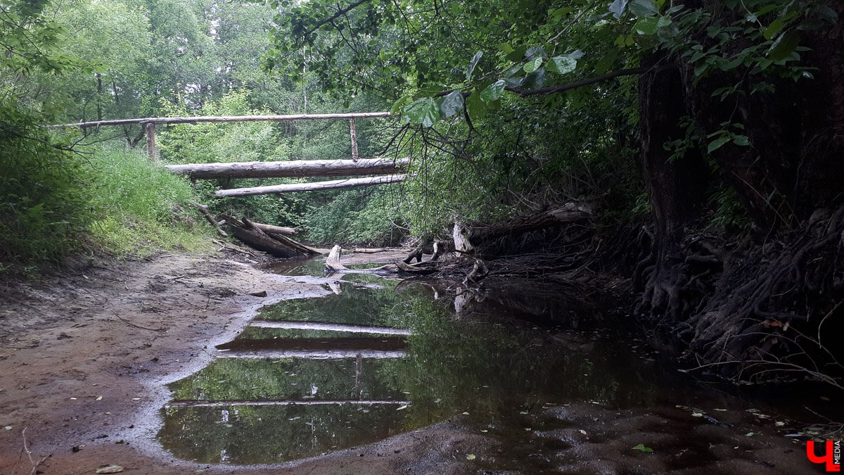 Премьера короткометражного фильма Михаила Исакова «Прощеное воскресение» прошла во Владимире. Снять картину режиссер решил в родных краях. В кадр попало одно из самых живописных мест - заброшенная церковь в деревне Ширманиха.