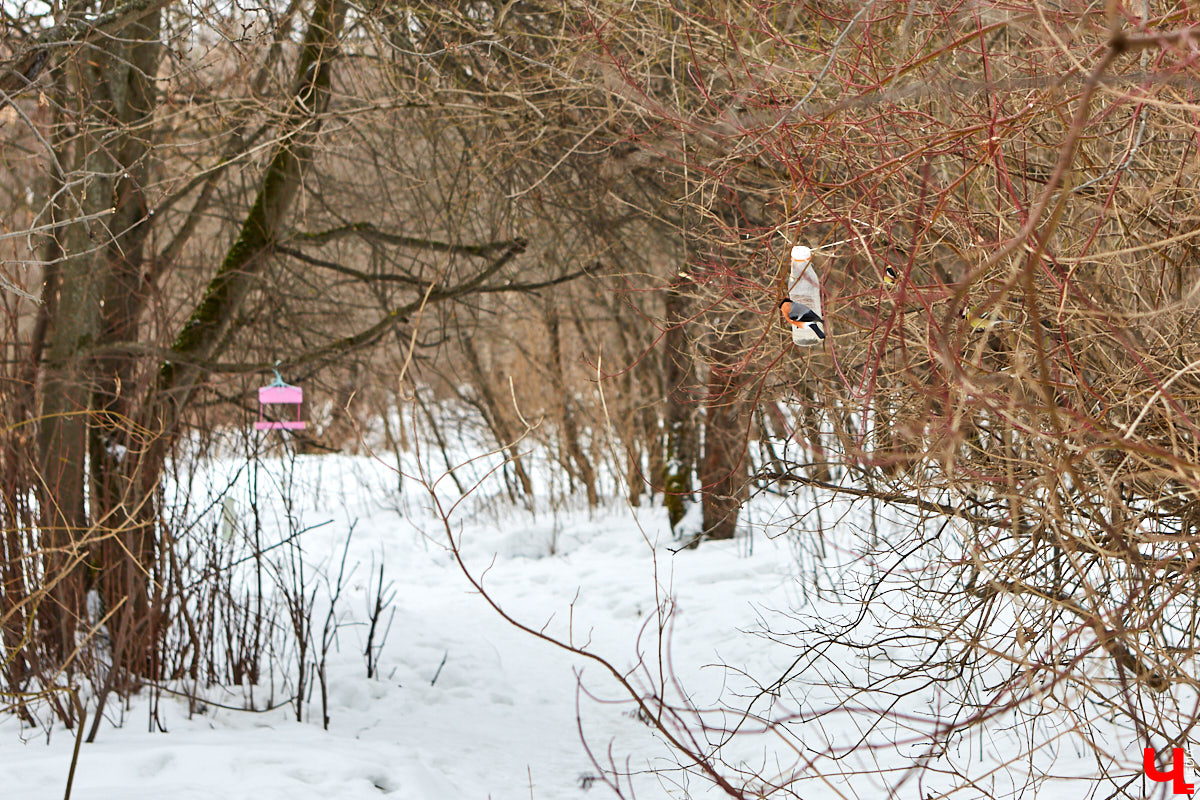 Здорово, что проекты благоустройства — тема № 1 в повестке дня. Интерес владимирцев растет. Но как мы к этому пришли и куда двигаемся теперь? Об этом поговорили с местным экспертом.