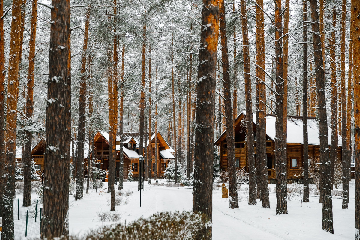 Загородный экоотель «ВеЛес» признан лучшим местом для семейного отдыха. Это уже вторая по счету награда подобной значимости: в 2019 году живописный загородный комплекс покорил жюри в той же номинации. В чем секрет успеха?