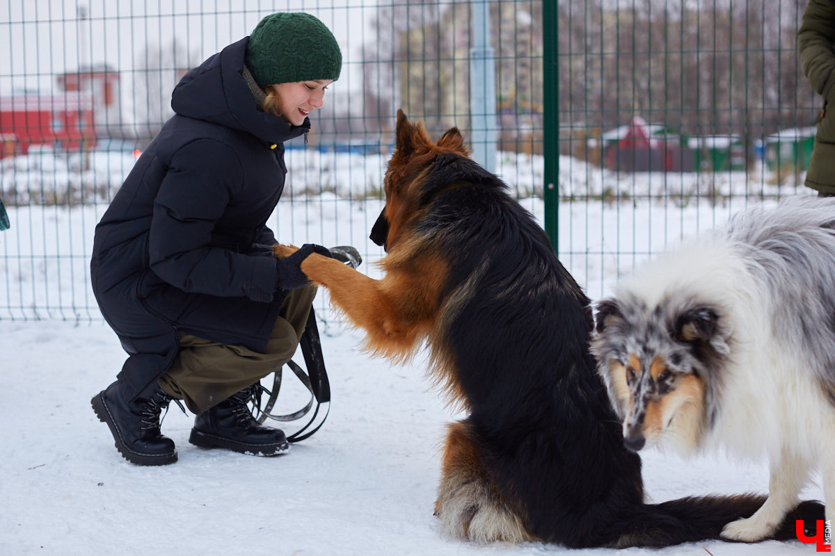 Буквально неделю назад открылись внешние ворота дог-парка в «Добросельском». Узнаем, когда территория будет полностью «разблокирована», а также изучаем базовые команды дрессировки, которые уже сейчас можно практиковать в новом вольере под руководством кинолога Александра Мочалова.
