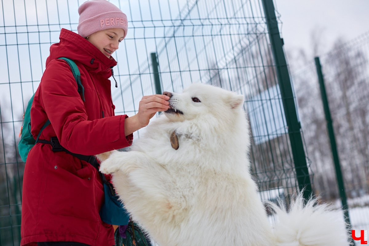 Буквально неделю назад открылись внешние ворота дог-парка в «Добросельском». Узнаем, когда территория будет полностью «разблокирована», а также изучаем базовые команды дрессировки, которые уже сейчас можно практиковать в новом вольере под руководством кинолога Александра Мочалова.