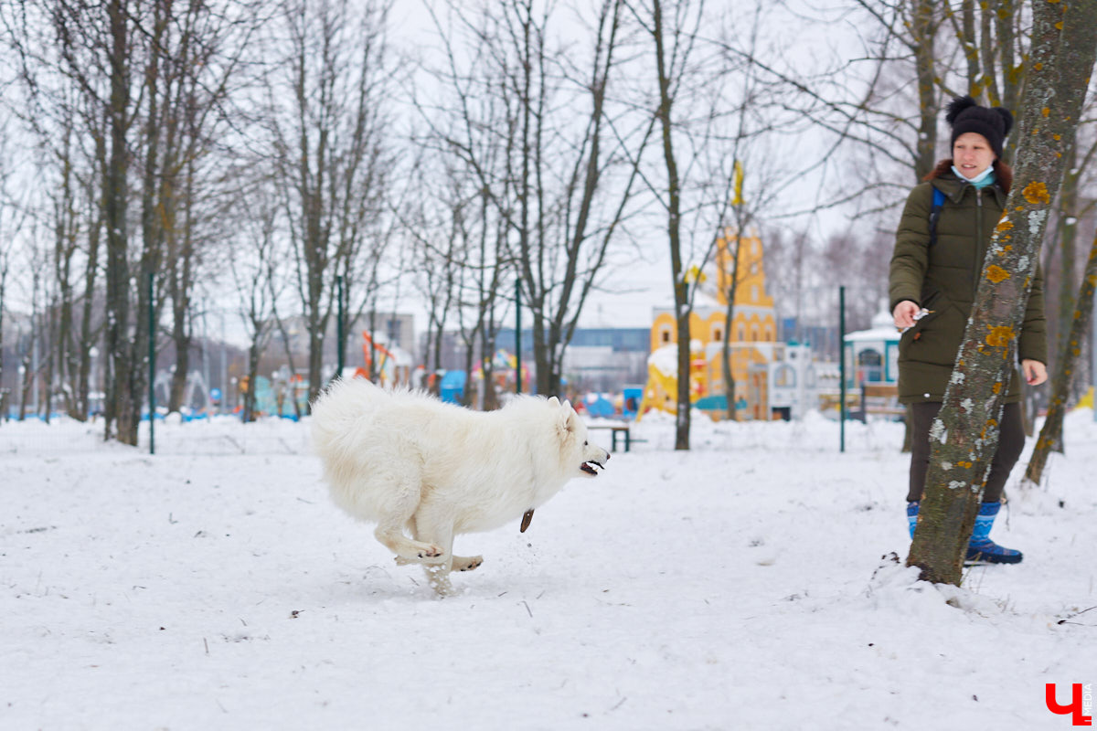 Буквально неделю назад открылись внешние ворота дог-парка в «Добросельском». Узнаем, когда территория будет полностью «разблокирована», а также изучаем базовые команды дрессировки, которые уже сейчас можно практиковать в новом вольере под руководством кинолога Александра Мочалова.