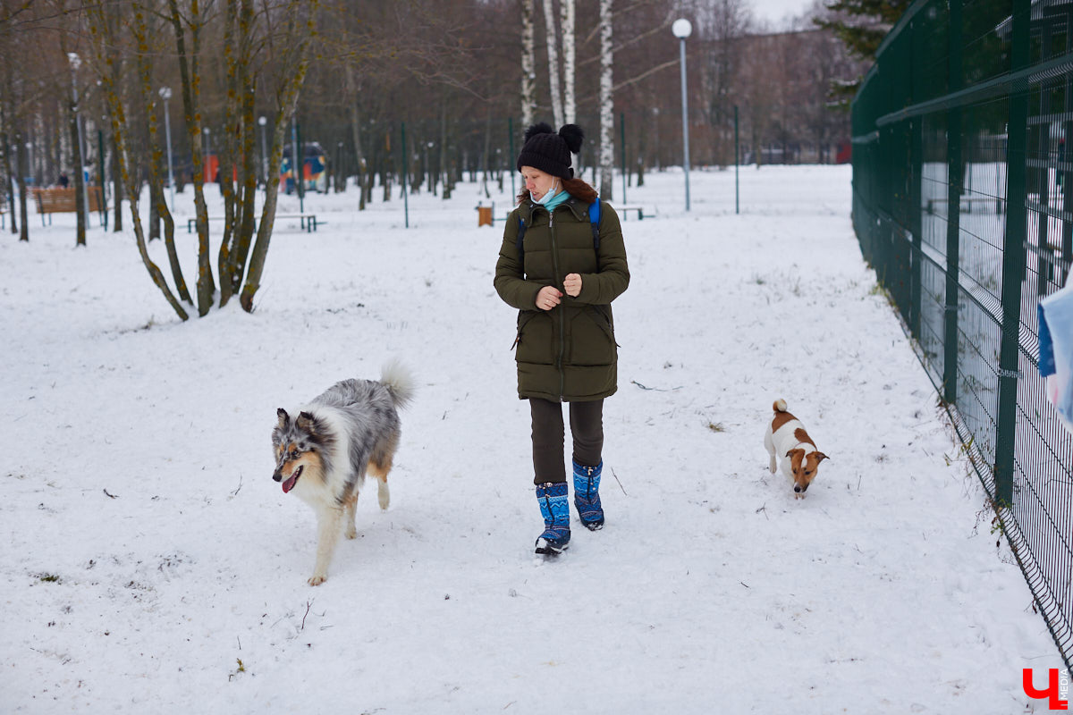 Буквально неделю назад открылись внешние ворота дог-парка в «Добросельском». Узнаем, когда территория будет полностью «разблокирована», а также изучаем базовые команды дрессировки, которые уже сейчас можно практиковать в новом вольере под руководством кинолога Александра Мочалова.