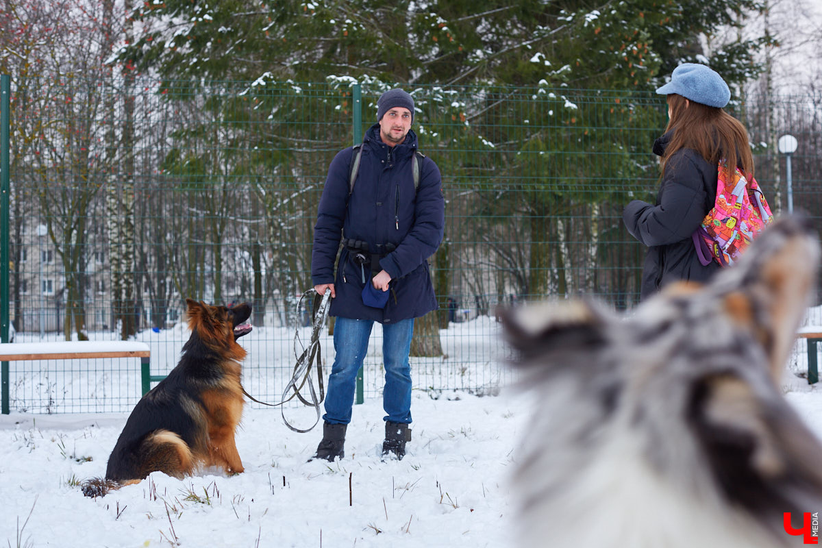 Буквально неделю назад открылись внешние ворота дог-парка в «Добросельском». Узнаем, когда территория будет полностью «разблокирована», а также изучаем базовые команды дрессировки, которые уже сейчас можно практиковать в новом вольере под руководством кинолога Александра Мочалова.