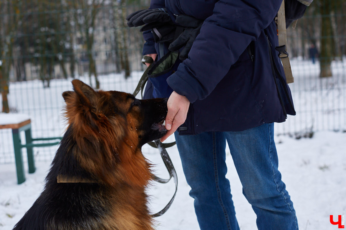 Буквально неделю назад открылись внешние ворота дог-парка в «Добросельском». Узнаем, когда территория будет полностью «разблокирована», а также изучаем базовые команды дрессировки, которые уже сейчас можно практиковать в новом вольере под руководством кинолога Александра Мочалова.