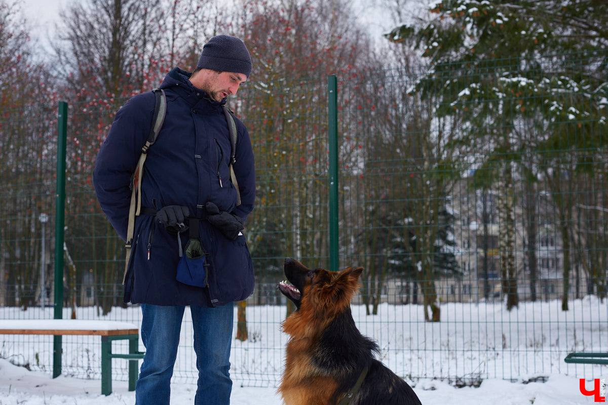 Буквально неделю назад открылись внешние ворота дог-парка в «Добросельском». Узнаем, когда территория будет полностью «разблокирована», а также изучаем базовые команды дрессировки, которые уже сейчас можно практиковать в новом вольере под руководством кинолога Александра Мочалова.