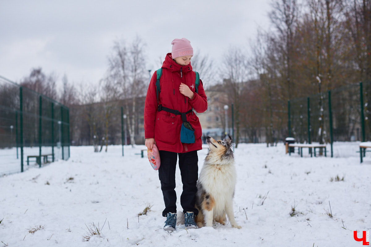 Буквально неделю назад открылись внешние ворота дог-парка в «Добросельском». Узнаем, когда территория будет полностью «разблокирована», а также изучаем базовые команды дрессировки, которые уже сейчас можно практиковать в новом вольере под руководством кинолога Александра Мочалова.