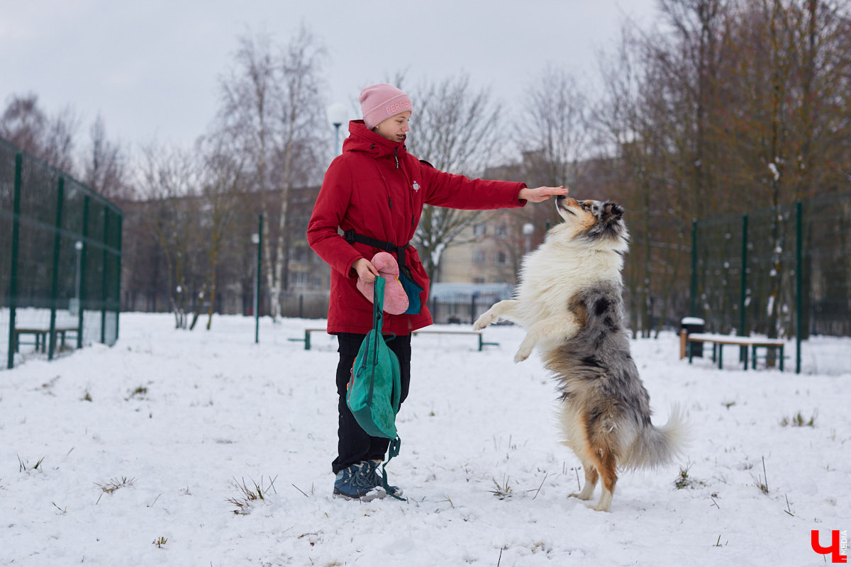 Буквально неделю назад открылись внешние ворота дог-парка в «Добросельском». Узнаем, когда территория будет полностью «разблокирована», а также изучаем базовые команды дрессировки, которые уже сейчас можно практиковать в новом вольере под руководством кинолога Александра Мочалова.
