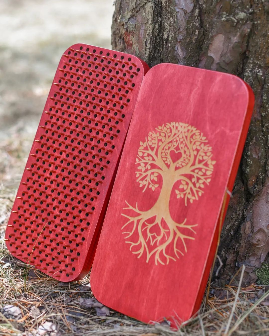 Мария Лабутина — многодетная мать, воспитывающая троих детей и вместе с мужем руководящая бизнесом в сфере общепита. Этот портрет был актуален до наступления пандемии. Коронакризис заставил супругов закрыть свое дело, так Мария радикально изменила свою жизнь и встала на гвозди.