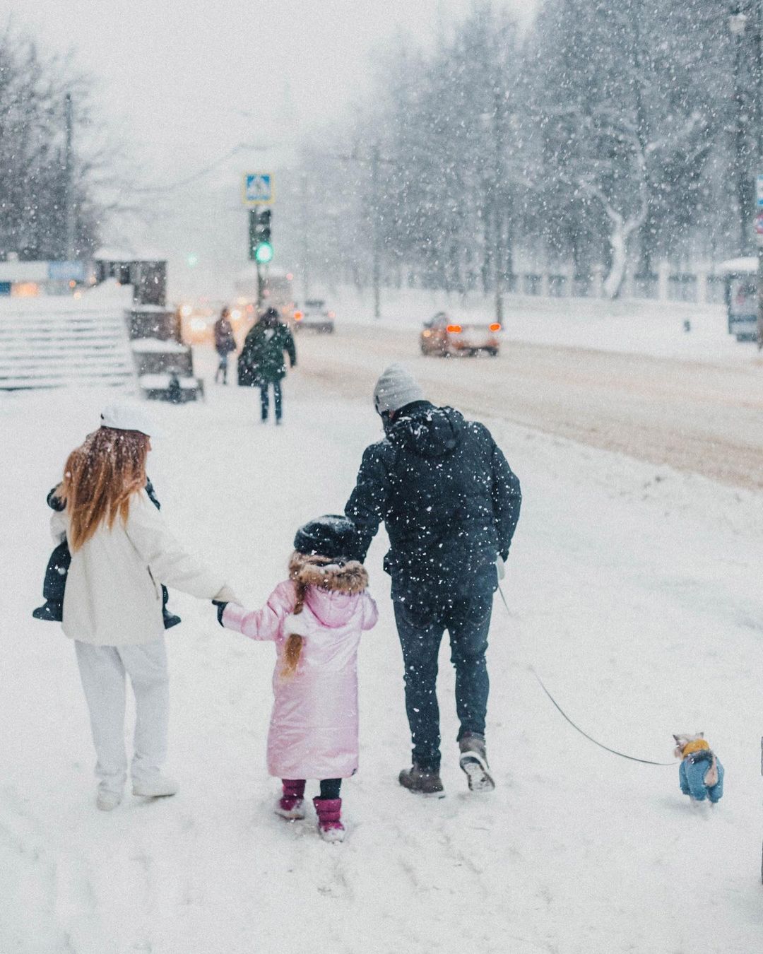 Соцсети буквально заполнили глянцевые снимки и атмосферные видео владимирцев с по-настоящему зимним контентом. Целыми семьями они лепят снеговиков, гуляют по заснеженным улицам, ныряют в сугробы, а главное, бесконечно улыбаются, видя всю эту невероятную красоту вокруг!