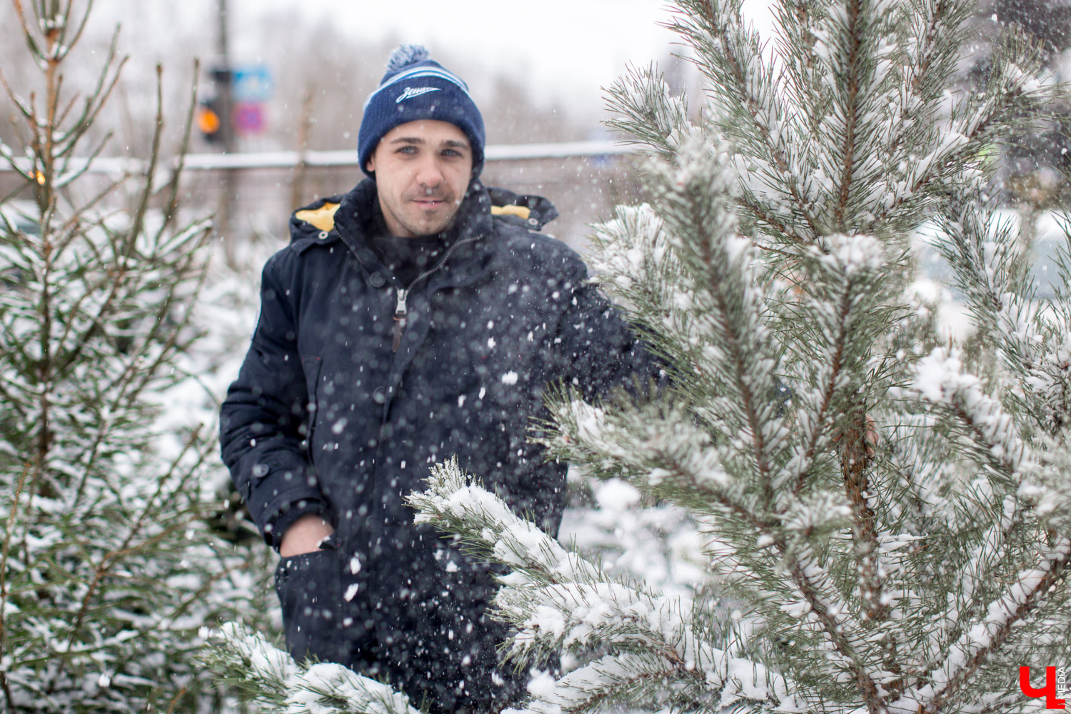 Купить елку в областном центре можно будет в пяти специально оборудованных точках с 24 декабря по 31 декабря.
