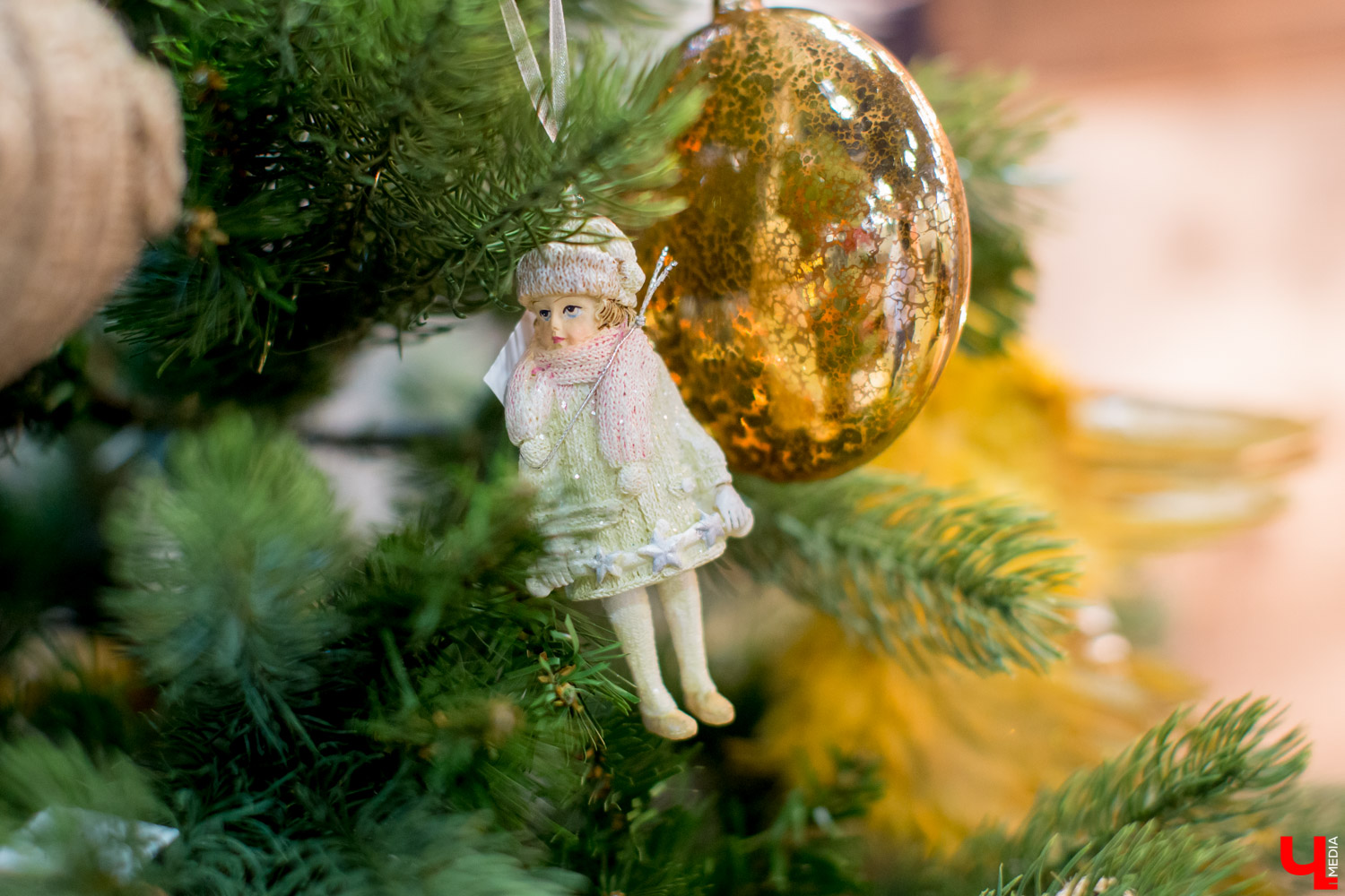 До наступления Нового года осталось меньше двух недель. Все больше жителей города задумываются о том, что пора поставить дома елку. Многие предпочтут в качестве главного праздничного дерева пушистую красавицу из леса. Как правильно ее выбрать и не ошибиться?