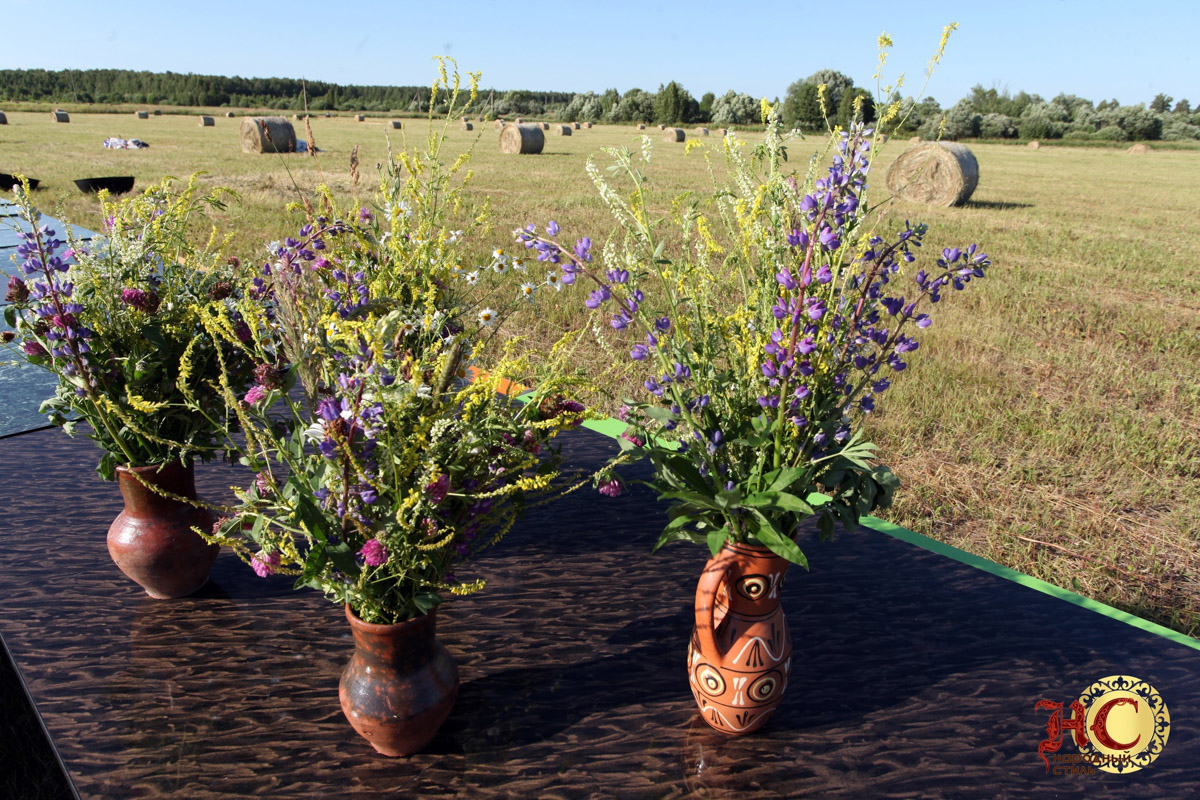 Как рассказать о национальном единстве и многообразии так, чтобы зритель не вывихнул челюсть, зевая? «Страна простора» — как раз такой позитивный пример. Владимирский ролик занял 1-е место в Национальной премии «На благо мира». Рассказываем о награде и самом произведении.