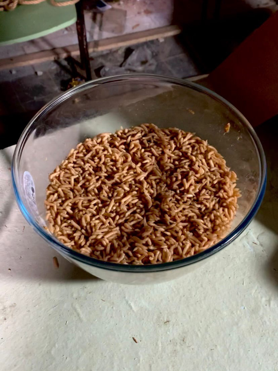 Заброшенная территория и шесть участников; три раунда, опарыши и кузнечики. Ната Доброта делится впечатлениями со съемок хоррор-квеста для YouTube-канала «This Is Rocket». Спойлер: не все пошло по плану.