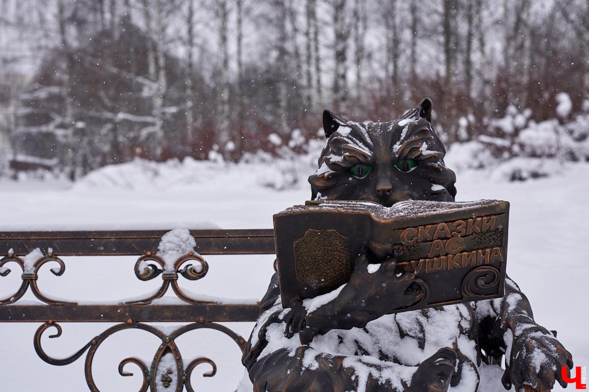 На территории «Добросельского» поселился кованый «Кот Учёный». Изменит ли инсталляция концепцию парка? Как владимирцы могут поучаствовать в установке новых арт-объектов? Ответы в материале.