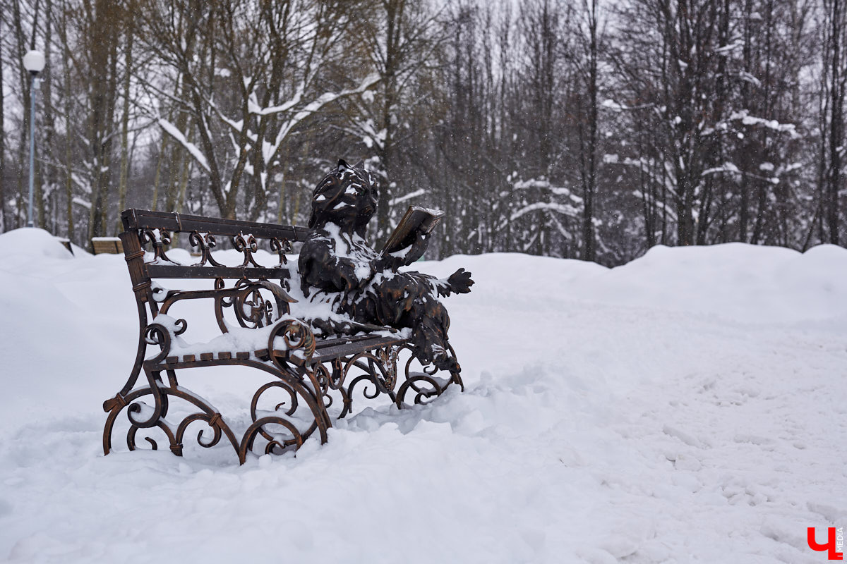 На территории «Добросельского» поселился кованый «Кот Учёный». Изменит ли инсталляция концепцию парка? Как владимирцы могут поучаствовать в установке новых арт-объектов? Ответы в материале.