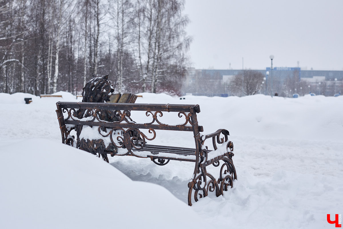 На территории «Добросельского» поселился кованый «Кот Учёный». Изменит ли инсталляция концепцию парка? Как владимирцы могут поучаствовать в установке новых арт-объектов? Ответы в материале.