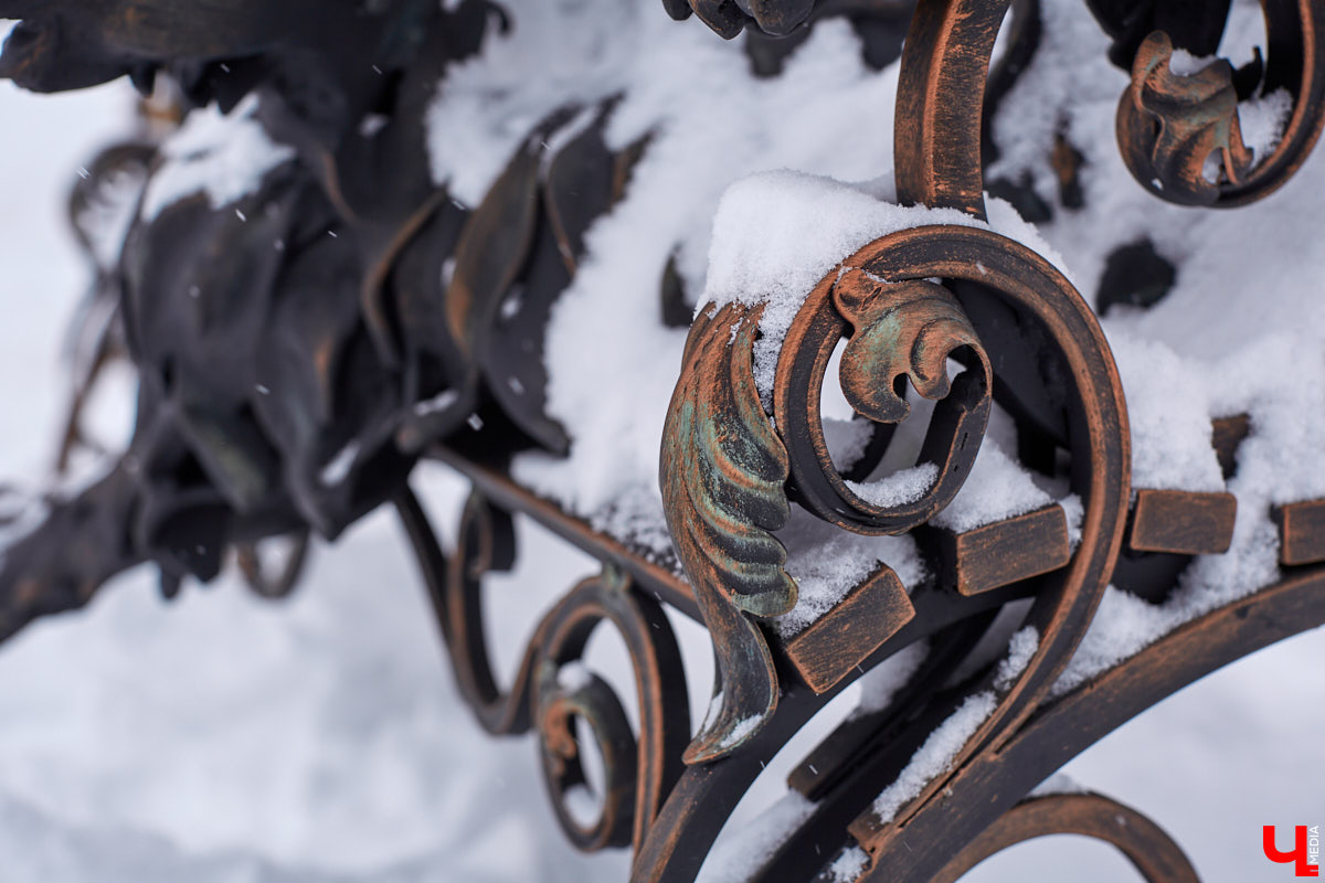 На территории «Добросельского» поселился кованый «Кот Учёный». Изменит ли инсталляция концепцию парка? Как владимирцы могут поучаствовать в установке новых арт-объектов? Ответы в материале.