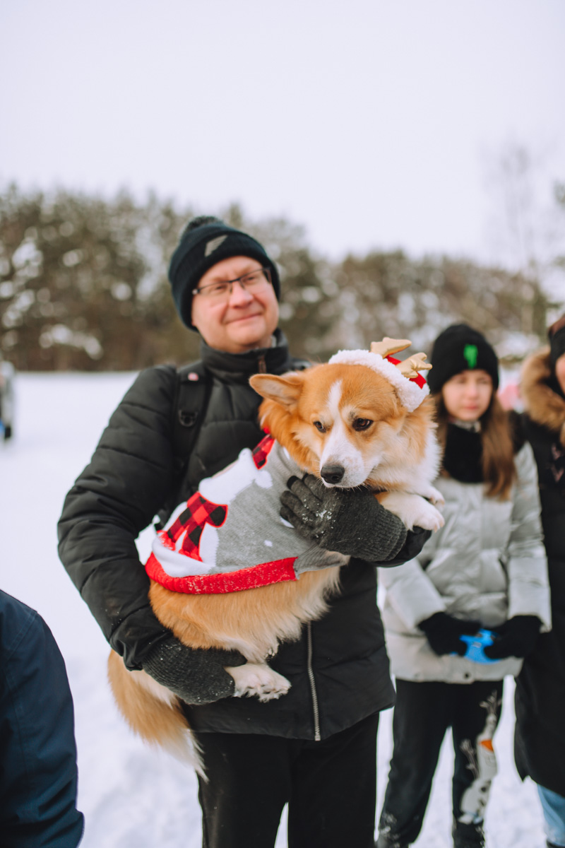 Владимирское корж-комьюнити продолжает развиваться! Более 30 пушистых пёселей снова встретились в Загородном парке на коргитусе.