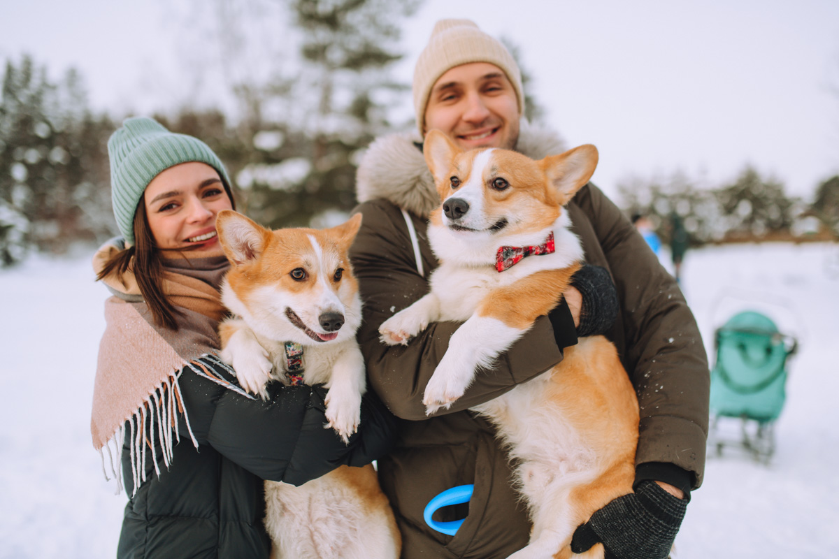 Владимирское корж-комьюнити продолжает развиваться! Более 30 пушистых пёселей снова встретились в Загородном парке на коргитусе.