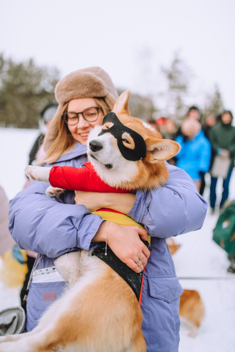 Владимирское корж-комьюнити продолжает развиваться! Более 30 пушистых пёселей снова встретились в Загородном парке на коргитусе.