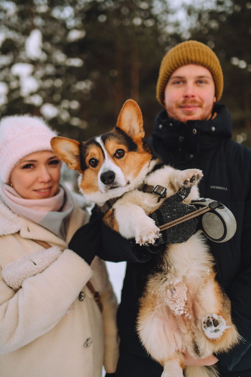 Владимирское корж-комьюнити продолжает развиваться! Более 30 пушистых пёселей снова встретились в Загородном парке на коргитусе.