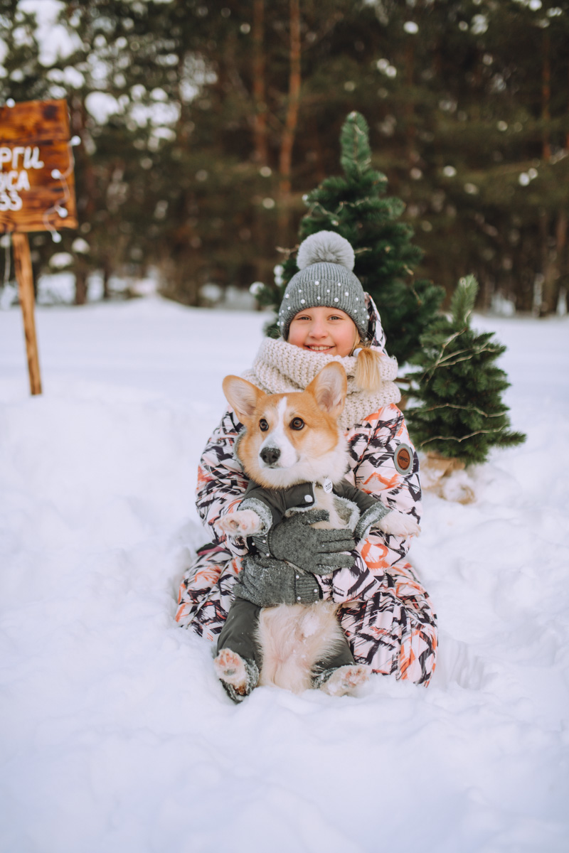 Владимирское корж-комьюнити продолжает развиваться! Более 30 пушистых пёселей снова встретились в Загородном парке на коргитусе.