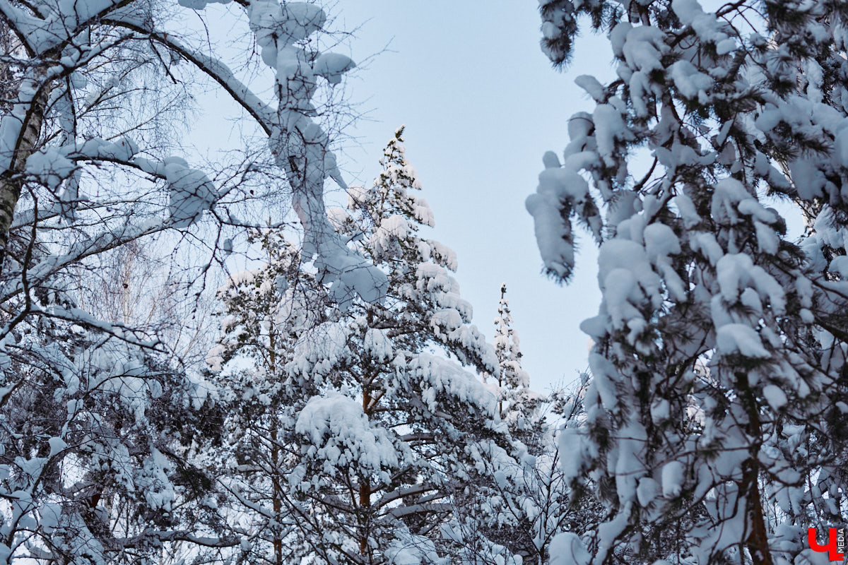 Из Парижа переехать в деревенский домик под Владимиром. Композитор и музыкант Николя Челоро считает такой поворот судьбы волей провидения. Как живется французу в российской глубинке? И в чем маэстро черпает вдохновение? Об этом и поговорили с Николя.