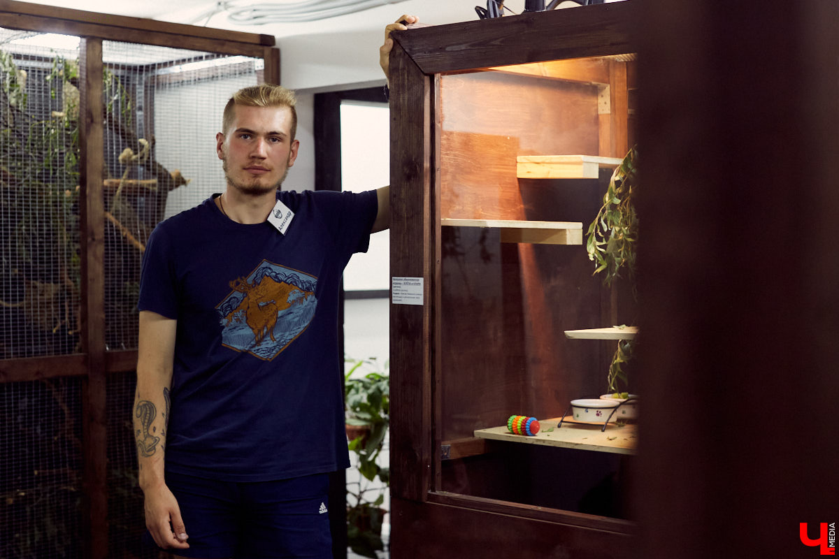 Владимирский экзотариум открылся в бывшем «Американском доме» летом. А сейчас приостановил работу. Что случилось? И как сложится судьба его питомцев? Об этом рассказал организатор проекта.