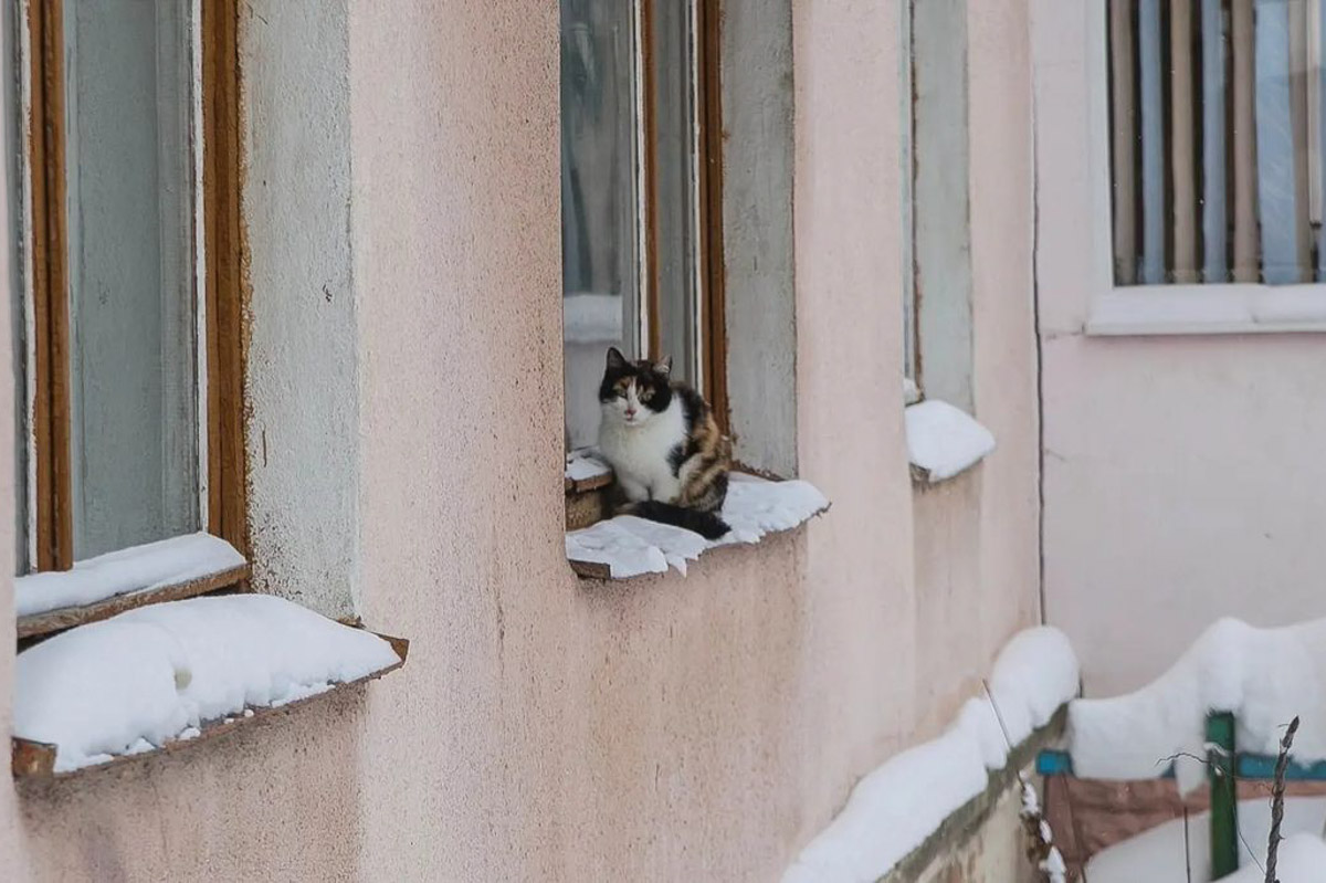 Уже несколько дней, как город охватила настоящая снежная стихия. Большинство жалуется, что из-за километровых сугробов им сложно добираться до работы и магазина, гулять с собакой. Кто-то ищет в этом только негатив, а кто-то с кайфом наслаждается зимней сказкой.