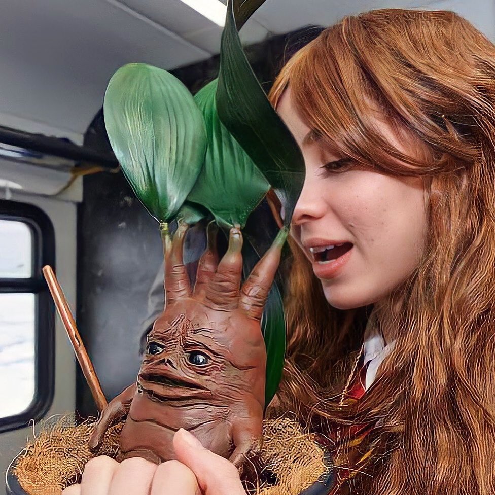 Настоящие фанаты Поттерианы, ликуйте! Сова с письмом из школы чародейства сбилась с маршрута и затерялась меж серых многоэтажек спальных районов. Однажды она доберется до Владимира с зажатым в клюве письмом. Например, в феврале, когда до Коврова можно будет добраться на «Хогвартс-экспрессе». Это не шутка.