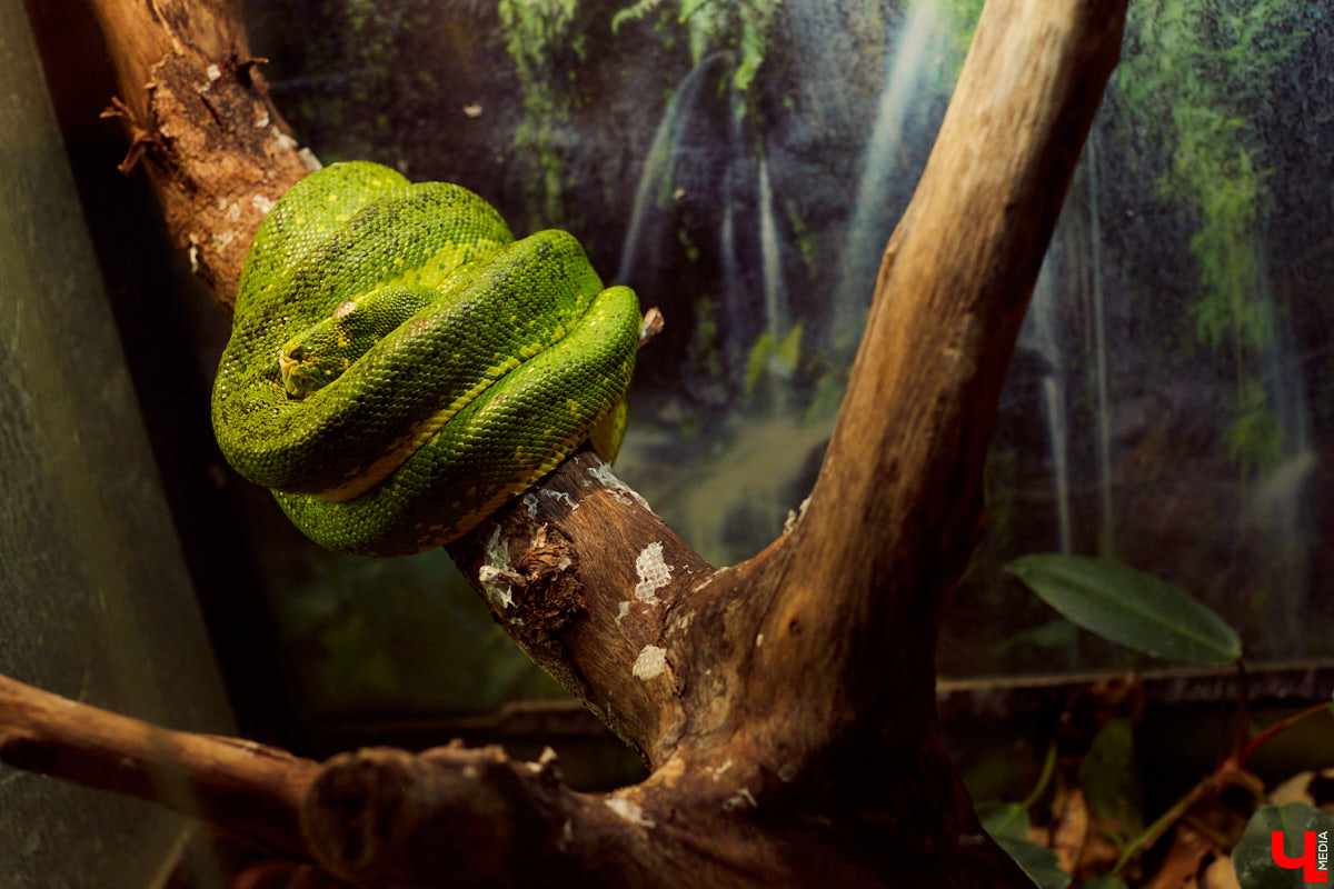 Как снег на голову свалились сразу несколько нерадостных новостей — придется, как минимум, сказать «до свидания» теплым и ламповым проектам. Про что речь, в чем дело — разгоняем туман в обзоре.