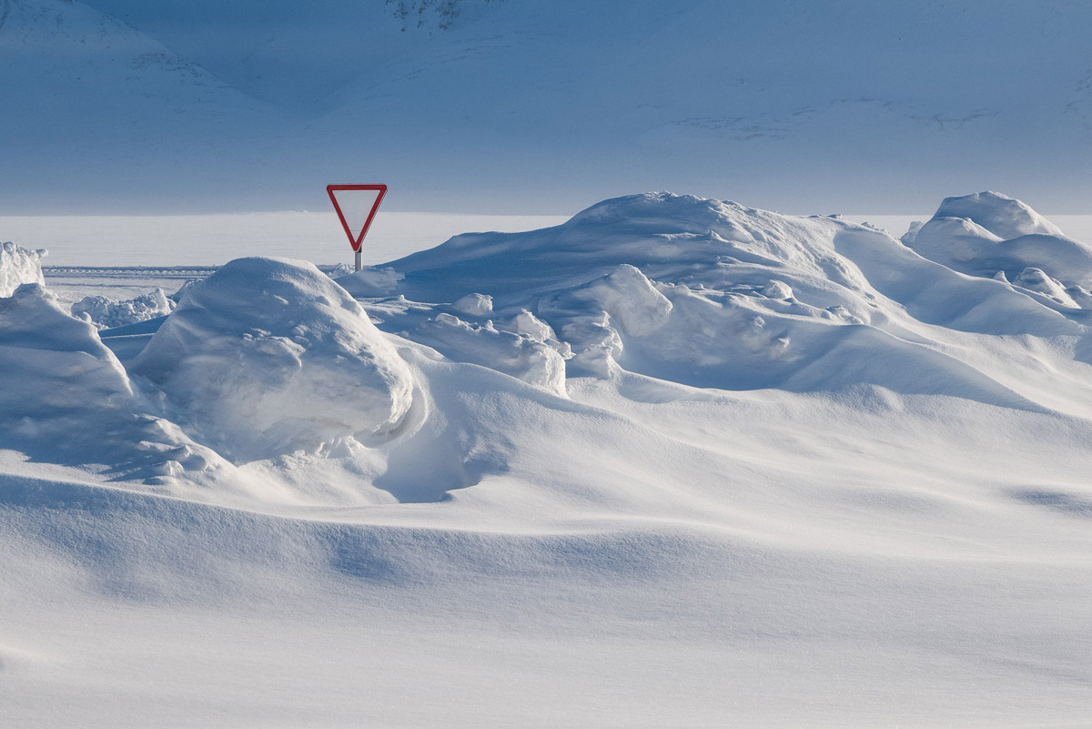 Андрей Белавин уже два года живет во Владимирской области. В январе стало известно, что одна из его работ стала лучшей на конкурсе «Самобытная Россия». Фотограф дал эксклюзивное интервью «Ключ-Медиа» и рассказал о своем путешествии на Чукотку, сотрудничестве с National Geographic, ТАСС, «Моя планета» и, конечно, о любви к Суздалю. Готовы увидеть невыносимо красивые фотографии? Смотрите и читайте!